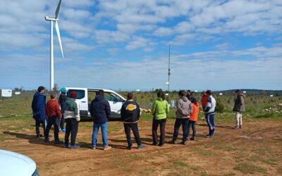 La truficultura también se aprende: un año formando profesionales para un sector prometedor