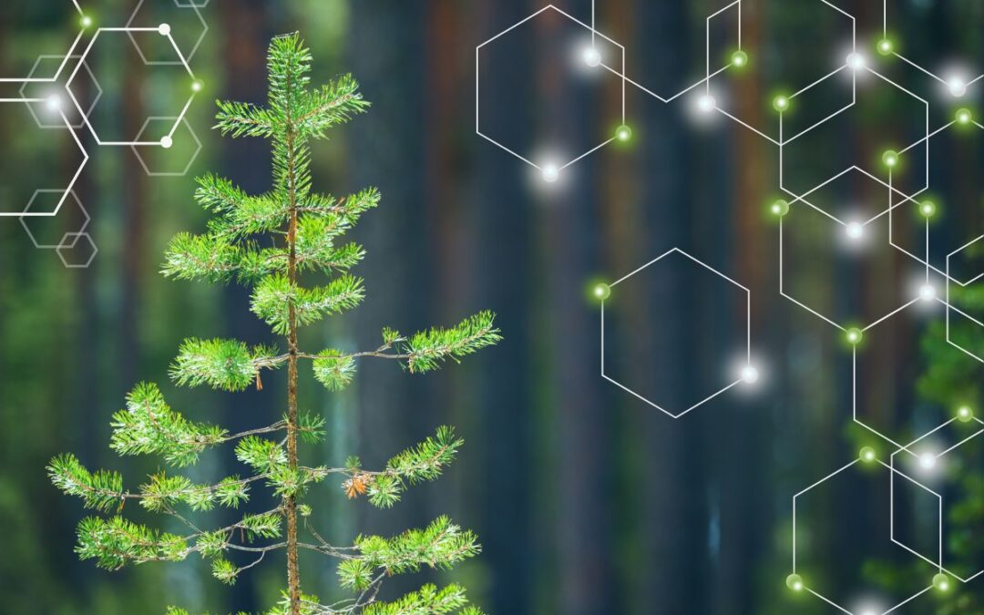 GESFORMA participa RETECHFOR con tres proyectos forestales